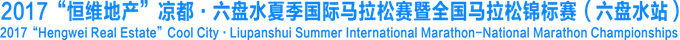 custom-logo